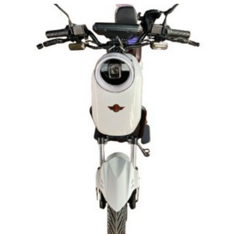 Scooter Elétrica Potente Altair