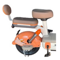 Bicicleta Elétrica Zenith