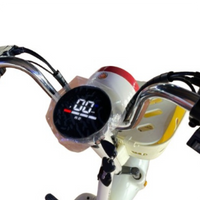 Bicicleta Elétrica Zenith